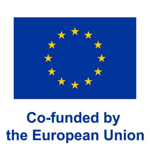 Co-funded by the European Union